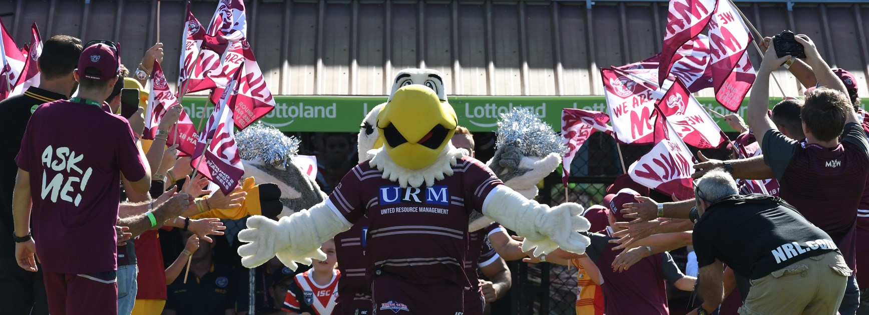 Sea Eagles on look out for new mascot
