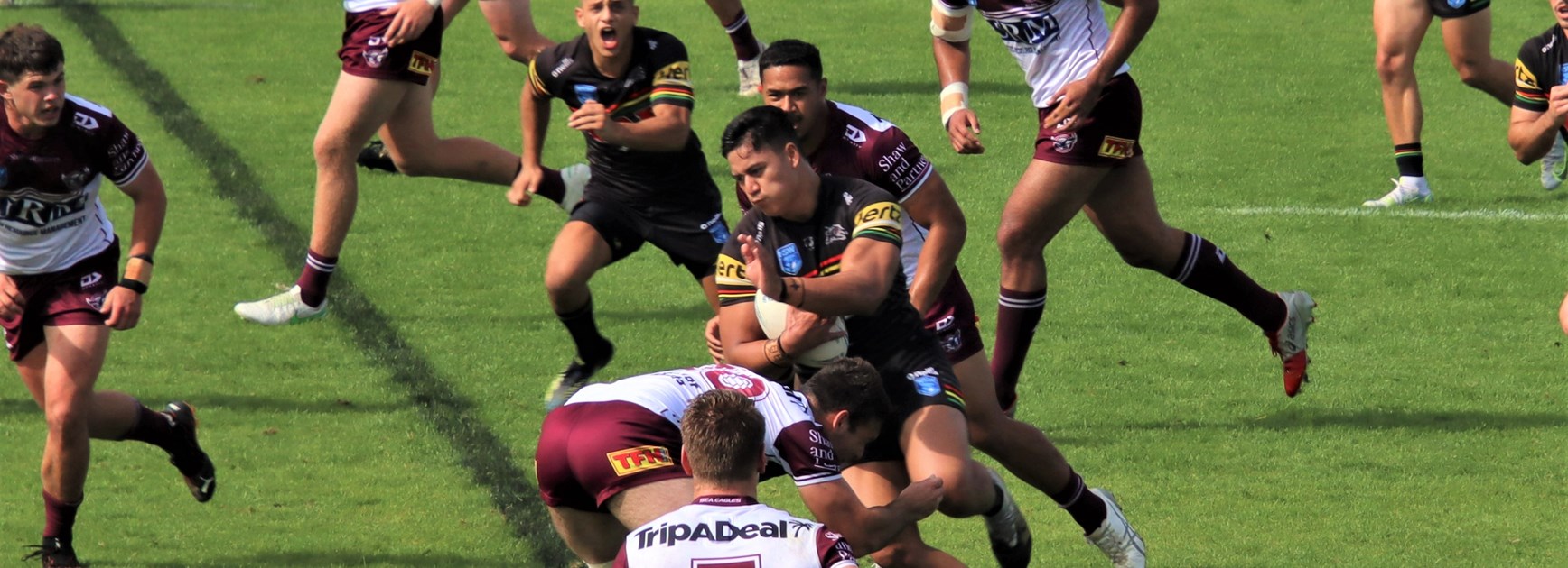 Sea Eagles lose to Panthers in Jersey Flegg