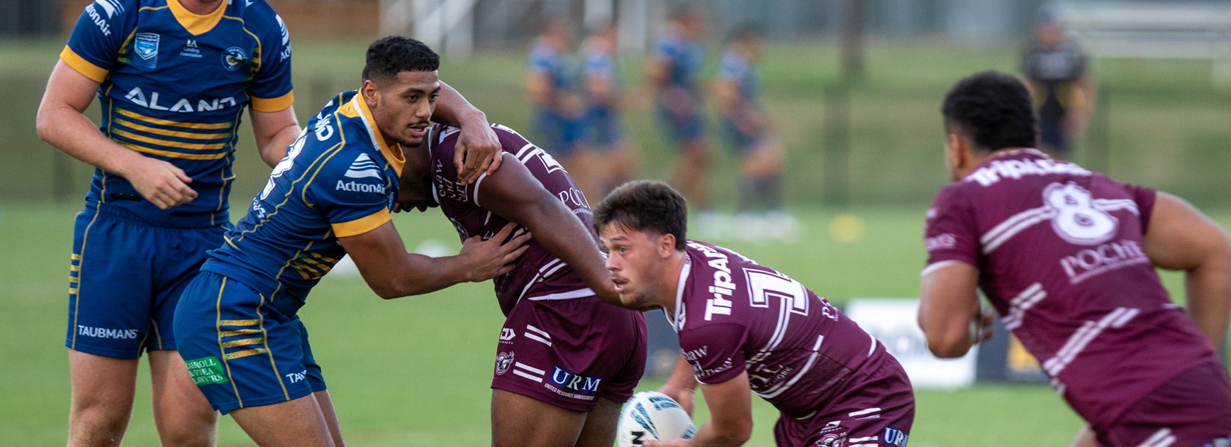 Sea Eagles Junior Reps wrap vs Eels
