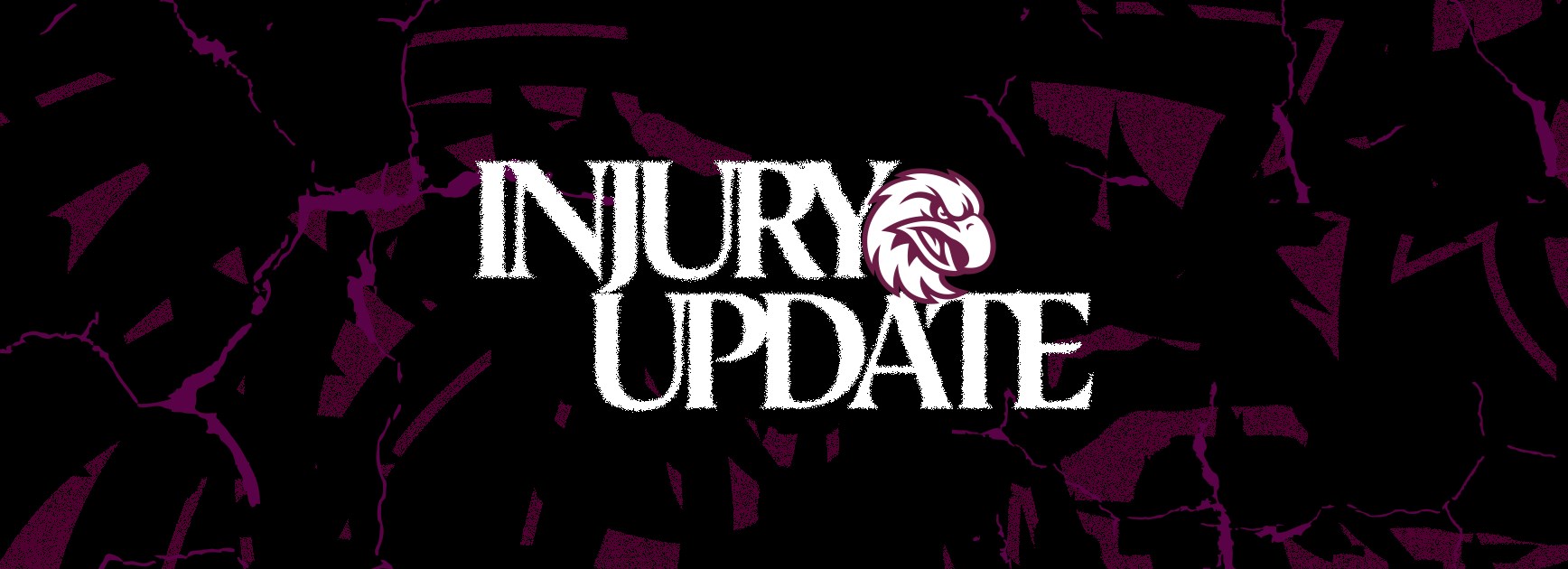 Rd 7 Sea Eagles Injury Report