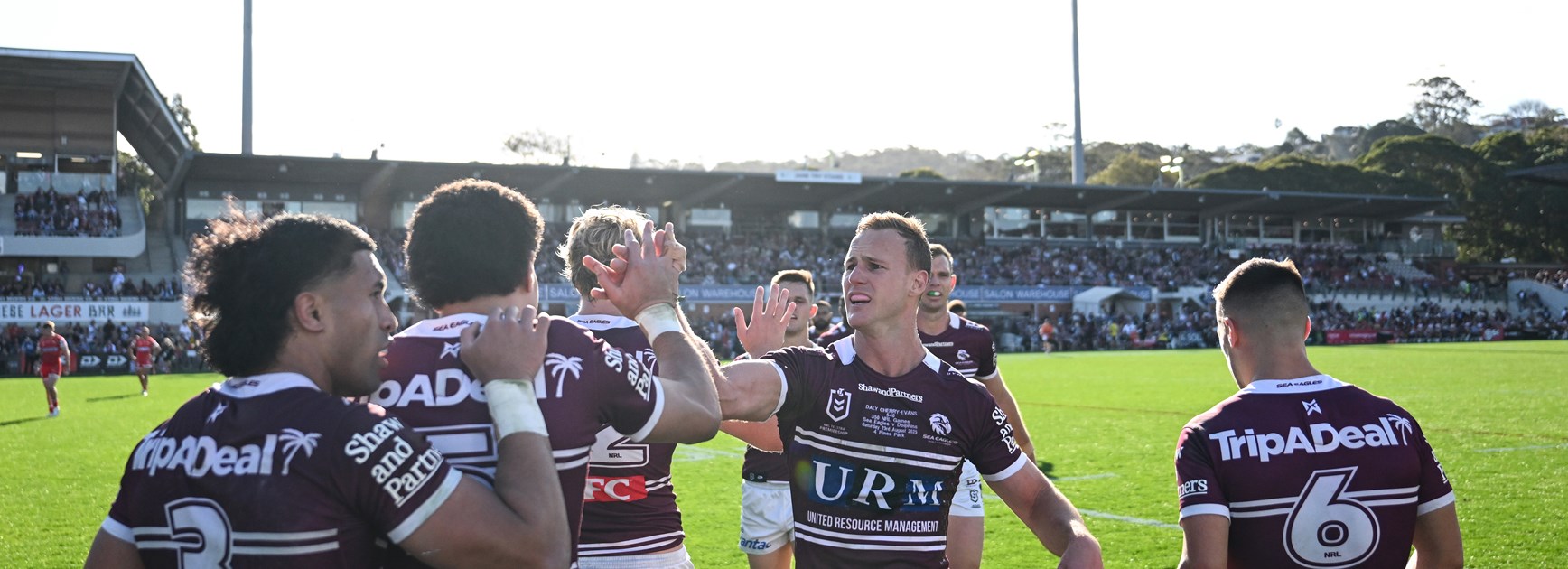 Match Report: Round 25 vs Dolphins