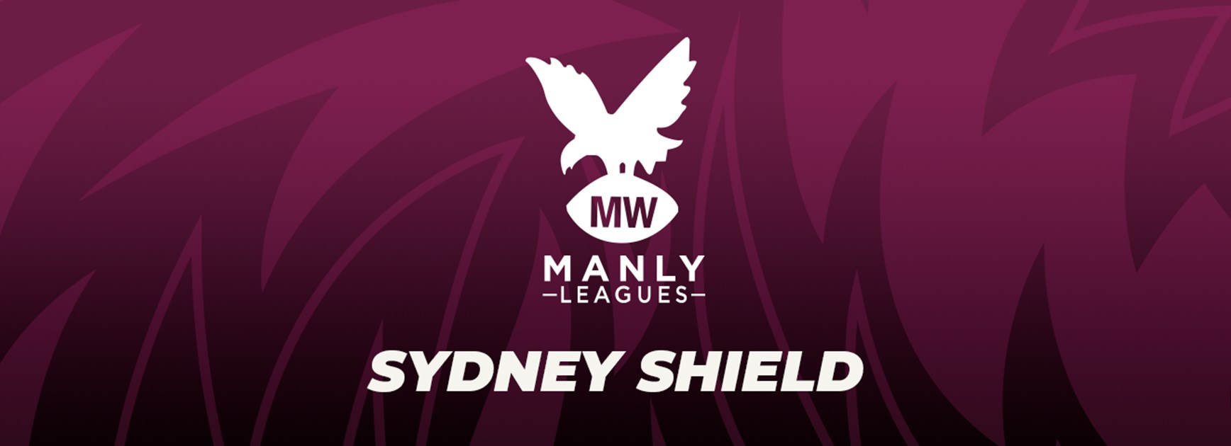 Match Preview: Sydney Shield Grand Final vs Wenty United
