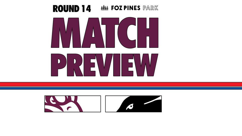 Match Preview: NRL Round 14 vs Rabbitohs