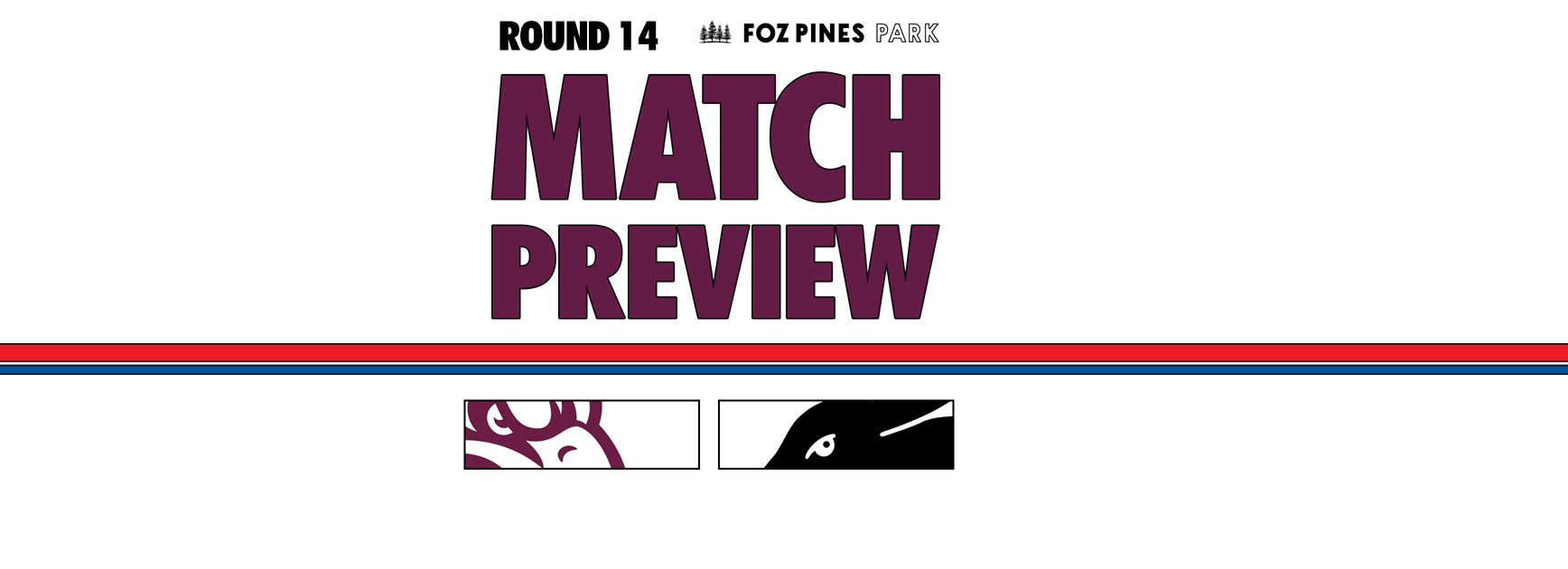 Match Preview: NRL Round 14 vs Rabbitohs